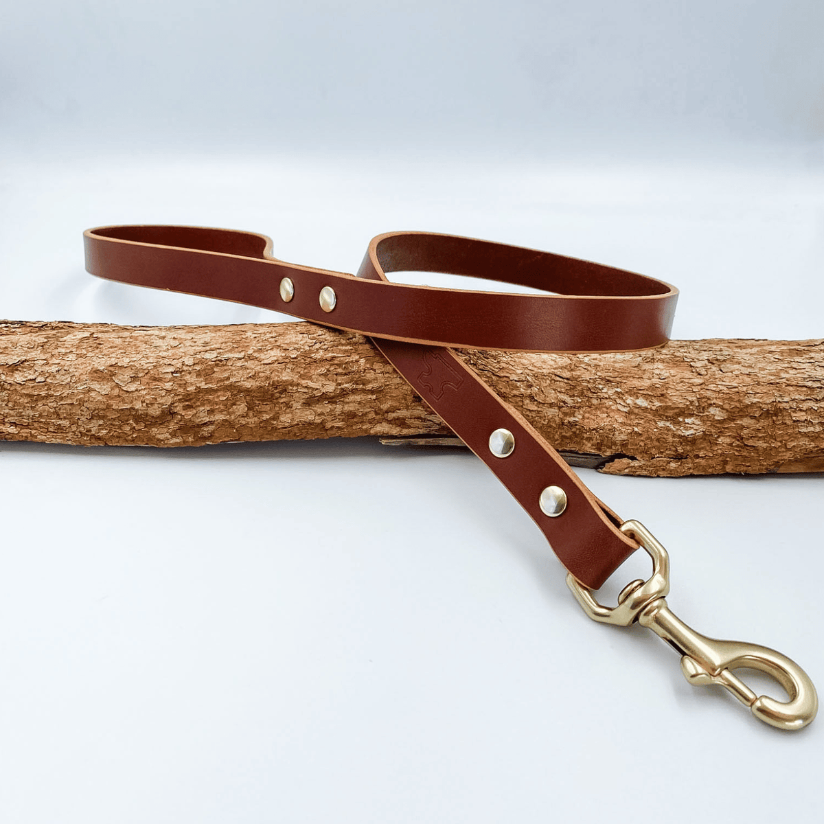 Classic Leather Dog Lead