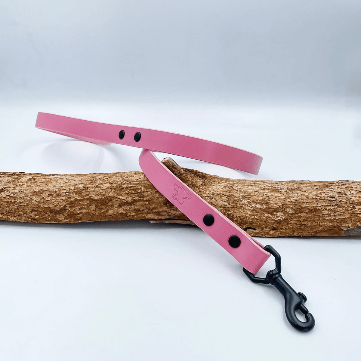 Classic Leather Dog Lead