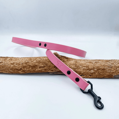 Classic Leather Dog Lead