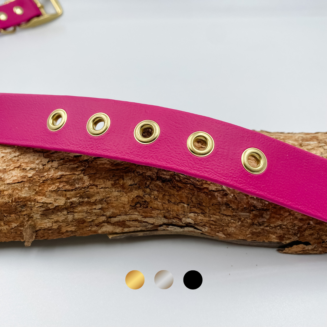 Custom Dog Collar Upgrade - Solid Brass Eyelets for collar holes - Kinfolk Leather NZ