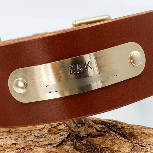 Nameplate – Collar & Lead Upgrade