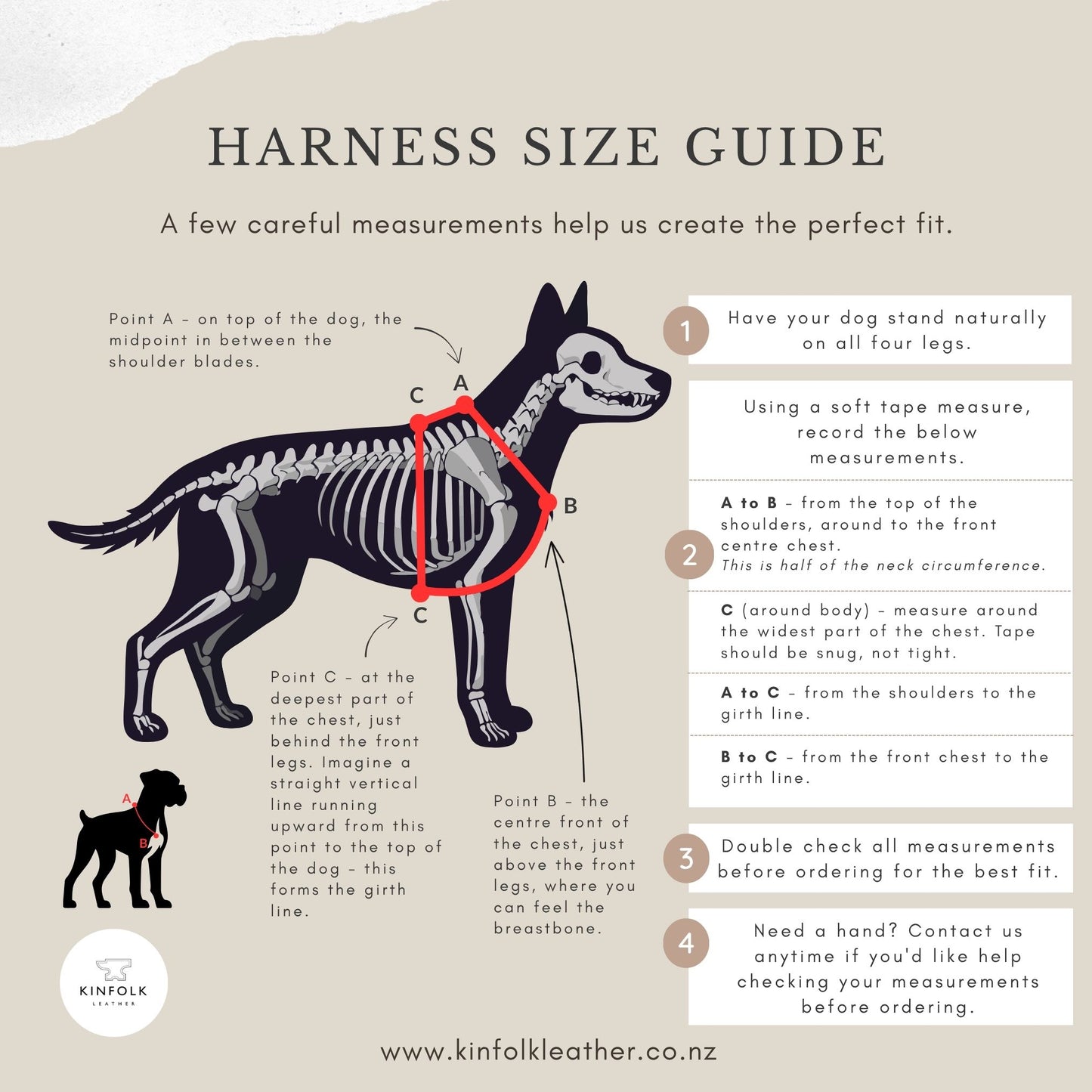 How to measure for a dog harness