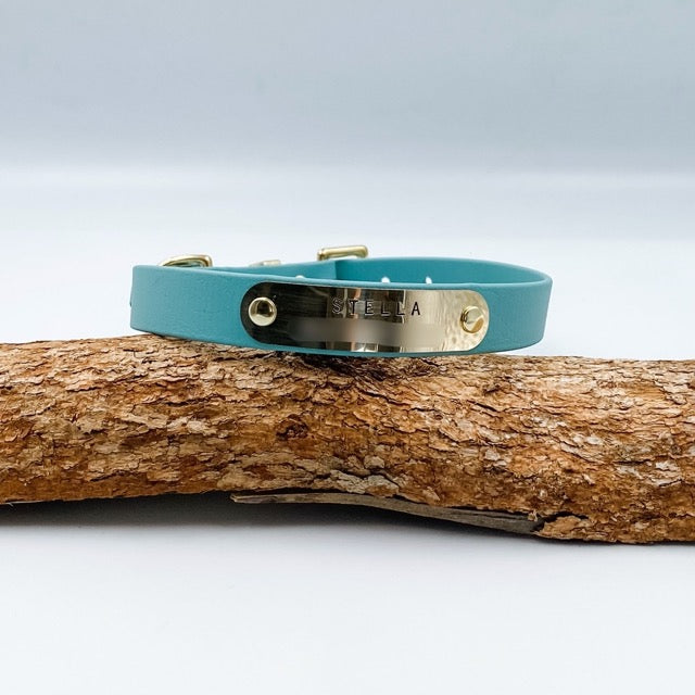 Teal dog collar with brass hardware on a wooden branch against a light gray background