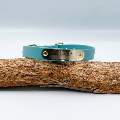 Teal dog collar with brass hardware on a wooden branch against a light gray background
