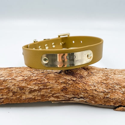 Brown leather dog collar with gold tag on a wooden branch