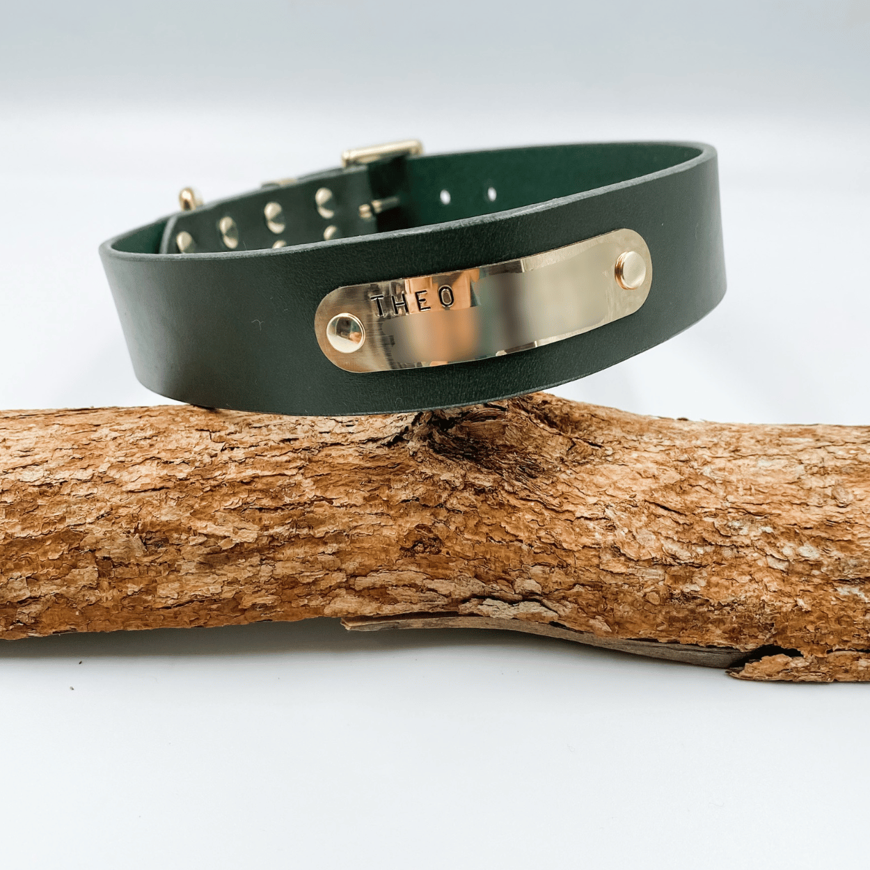 Green leather dog collar with gold tag on a wooden branch