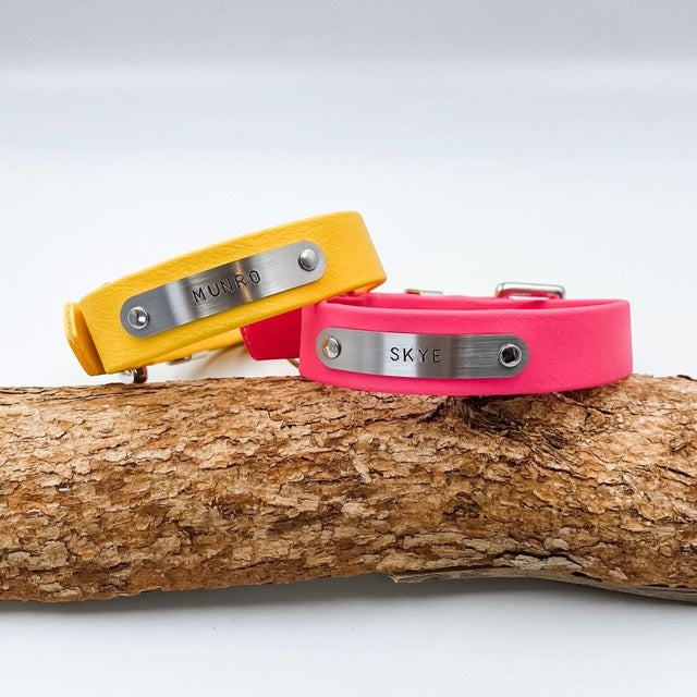 Two colorful dog collars with engraved names on a wooden branch.