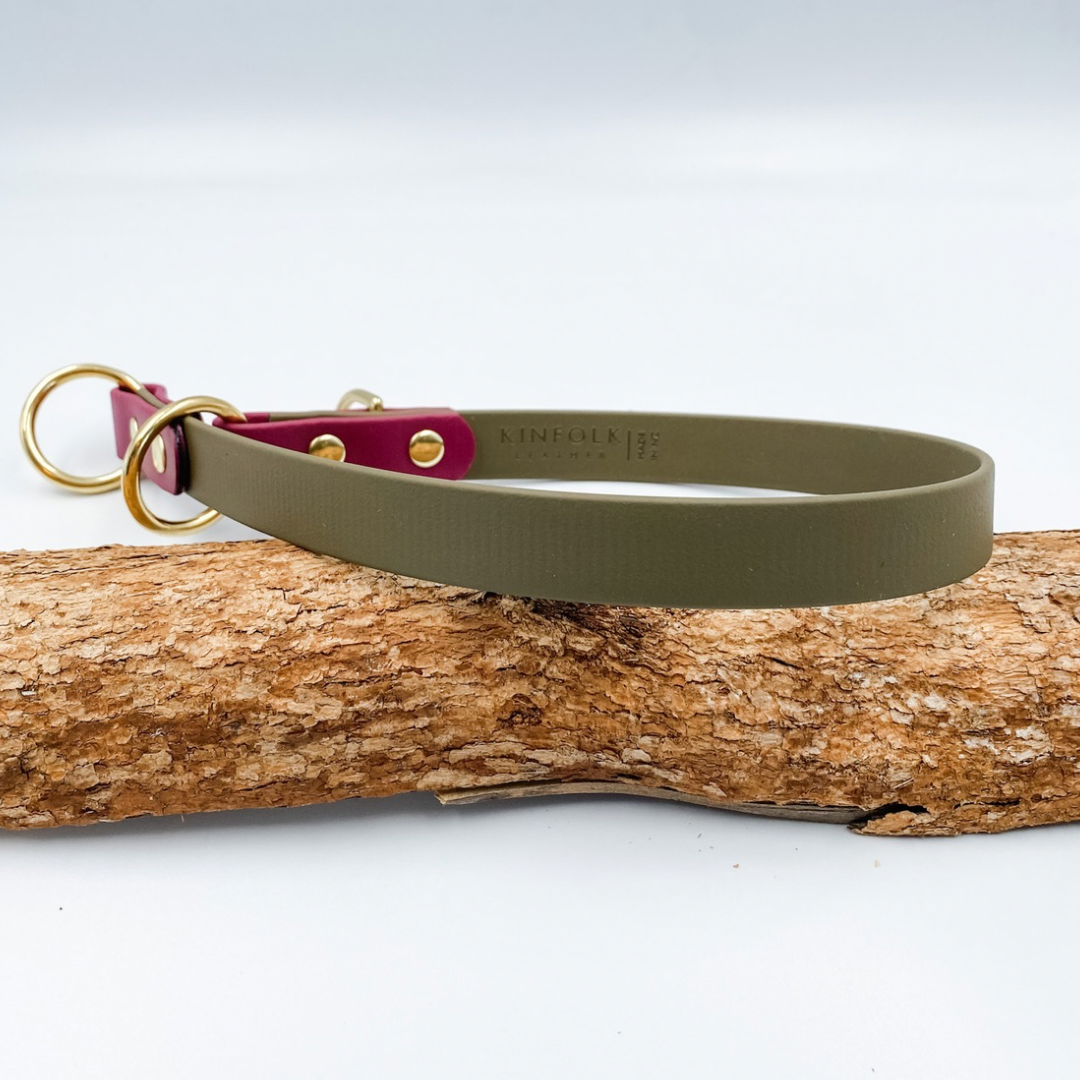 Slip Dog Collar - Waterproof BioThane® Custom Dog Collar