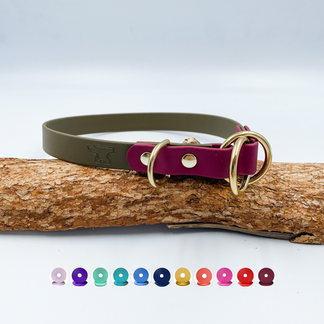 Slip Dog Collar - Waterproof BioThane® Custom Dog Collar