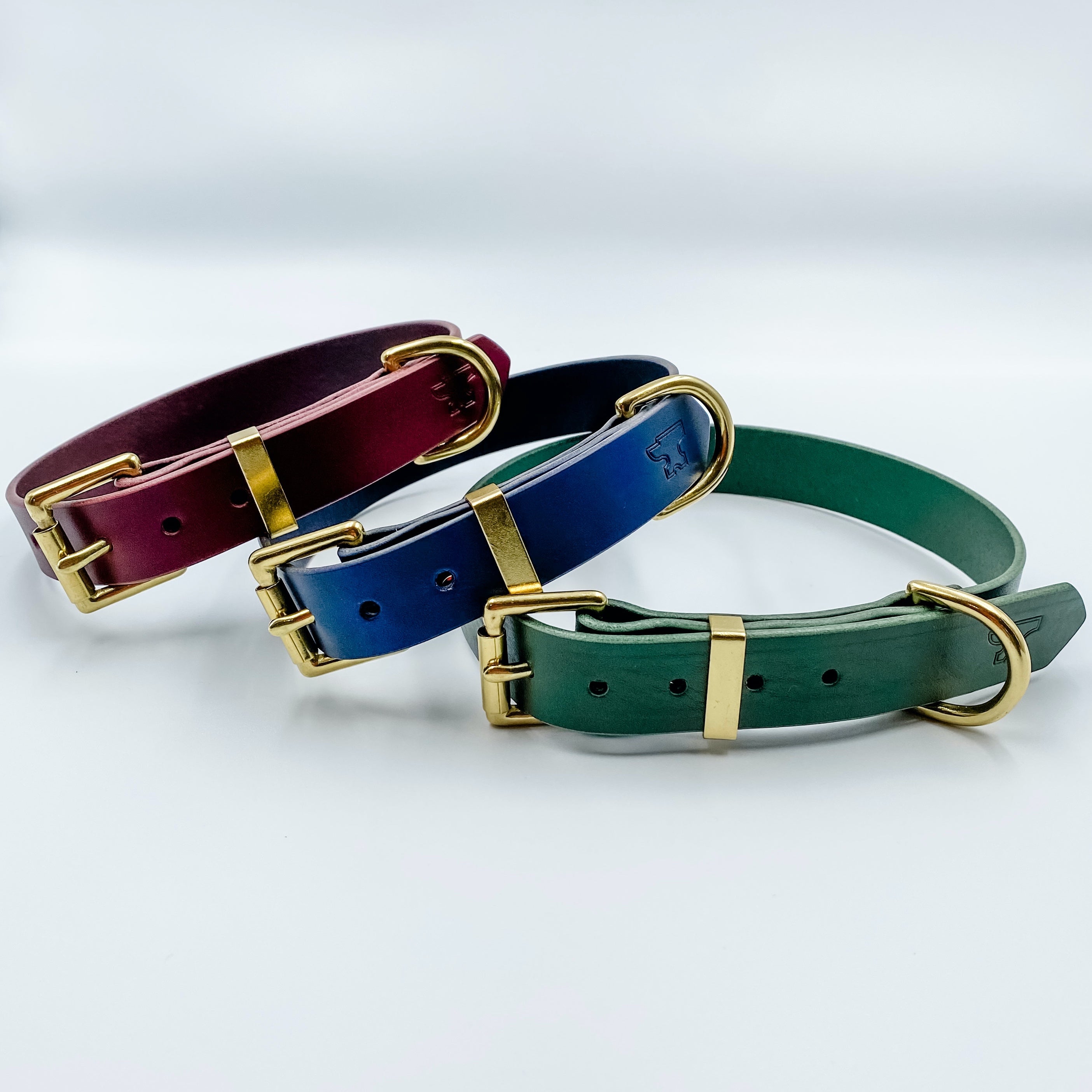 Padded leather dog collar best sale with nameplate