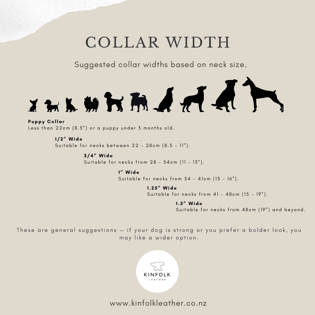 Leather Dog Collar - Width Recommendations - Kinfolk Leather Custom Dog Collars NZ