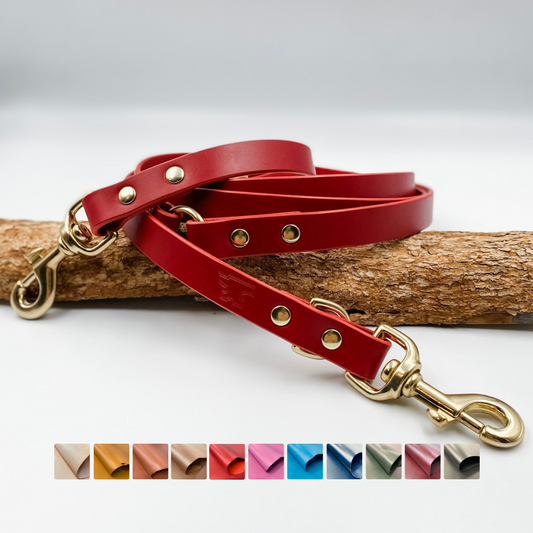 Genuine Leather Multi Use Handsfree Training Dog Lead - Custom made by Kinfolk Leather in NZ