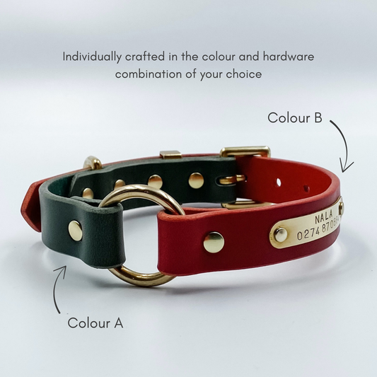 Two-tone leather collar with gold hardware on a light gray background