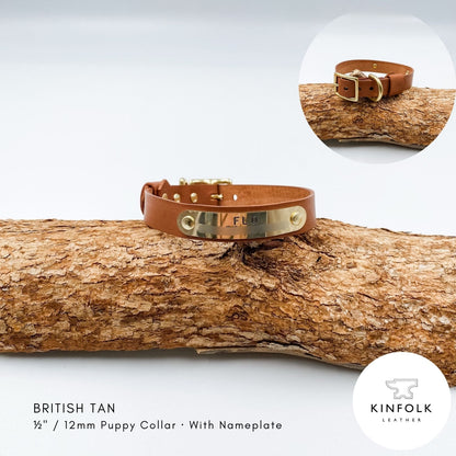 British Tan leather puppy collar with personalised brass nameplate