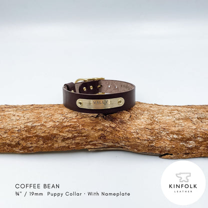Coffee Bean brown leather puppy collar with personalised brass nameplate