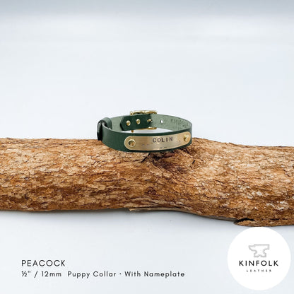 Green leather puppy collar with personalised brass nameplate