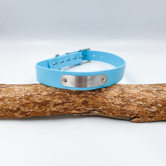 Light blue dog collar with a silver tag on a wooden branch against a white background