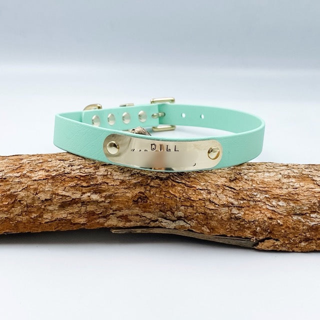 Mint green dog collar with gold tag on a wooden branch