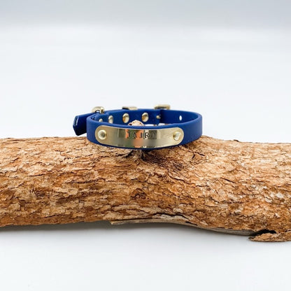 Blue dog collar with gold tag on a wooden log against a white background