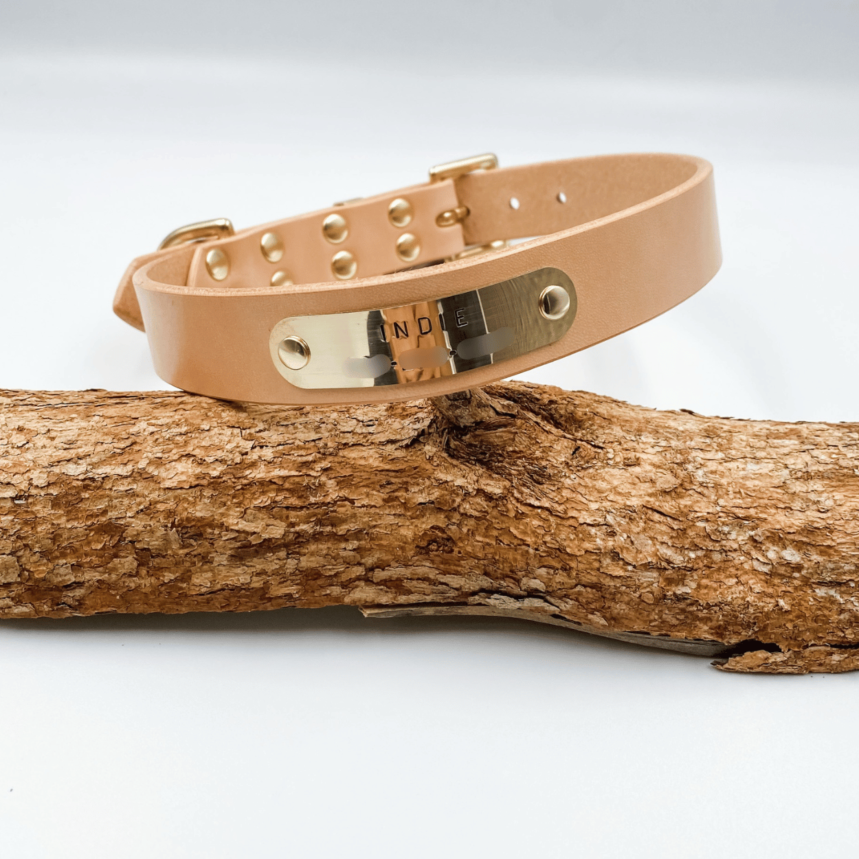 Beige leather dog collar with gold accents on a wooden branch