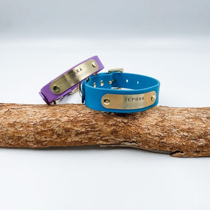 Two dog collars, one purple and one blue, with brass tags on a wooden branch.
