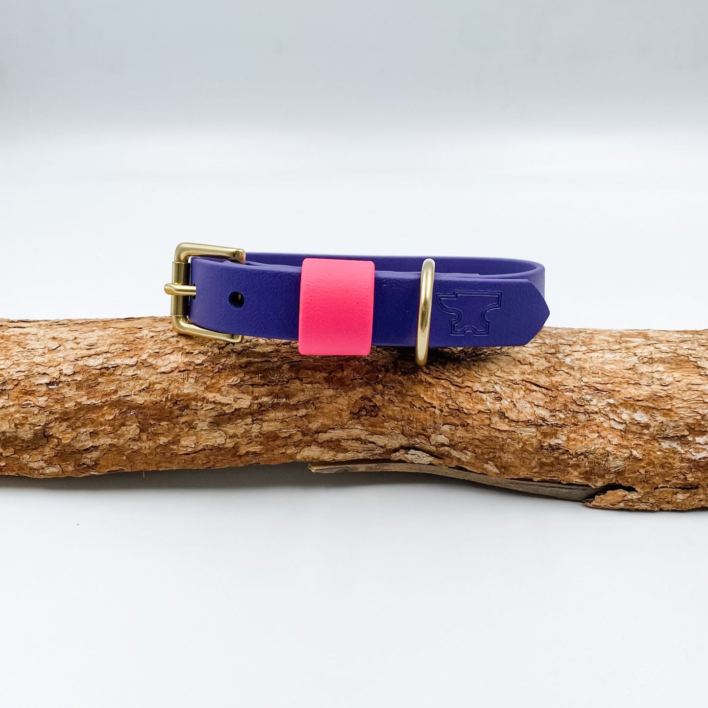 Violet BioThane dog collar with a bright hot-pink keeper and solid brass hardware, handmade in New Zealand.