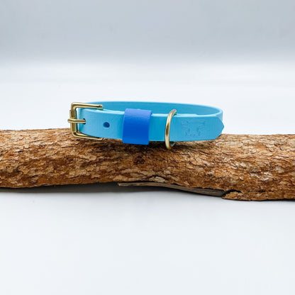Light blue BioThane dog collar with a sky-blue keeper and solid brass hardware, handmade in New Zealand.