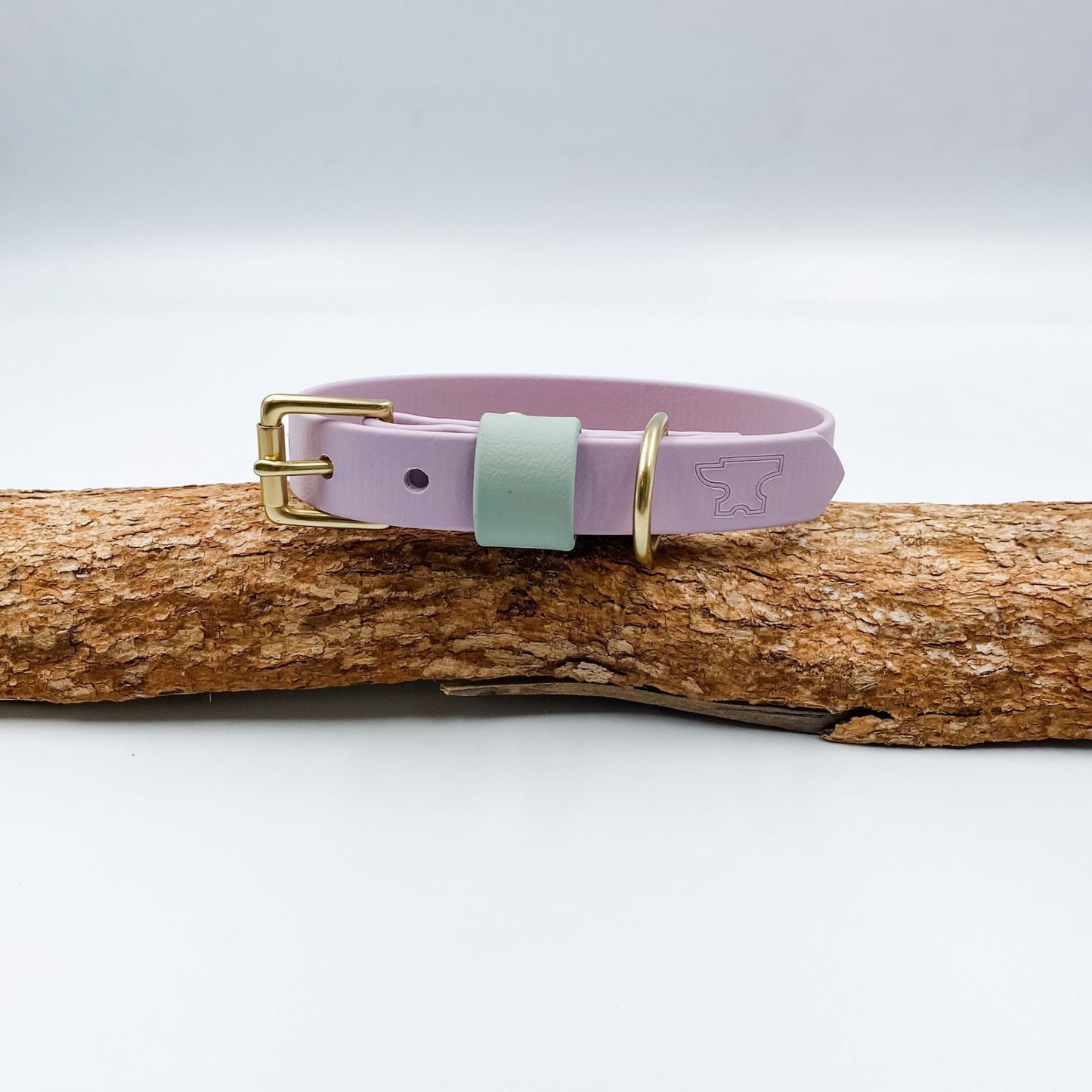 Lavender purple BioThane dog collar with a soft sage keeper and solid brass hardware, handmade in New Zealand.