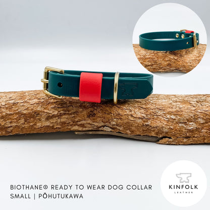 Forest green BioThane dog collar with a red keeper and solid brass hardware, inspired by the pōhutukawa blossom, handmade in New Zealand.
