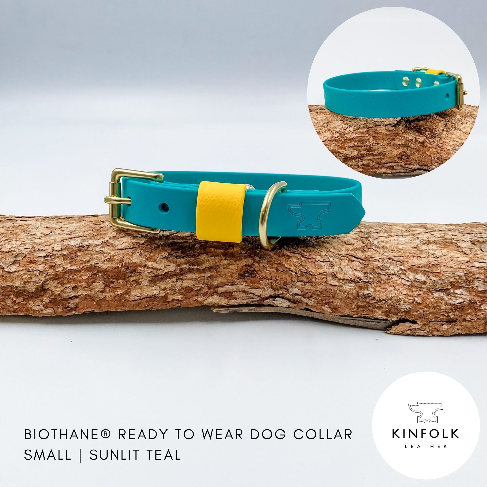 Teal green BioThane dog collar with a bright yellow keeper and solid brass hardware, handmade in New Zealand.