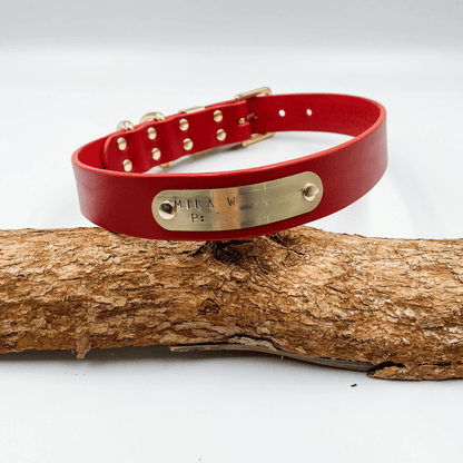 Red leather dog collar with gold hardware on a wooden log against a white background