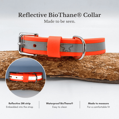 Reflective BioThane dog collar with embedded 3M reflective strip, waterproof material and custom sizing
