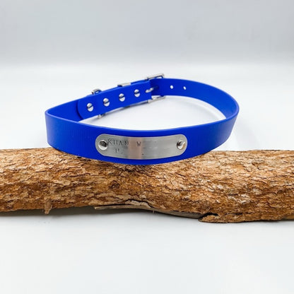 Blue dog collar with a silver tag on a wooden branch against a white background