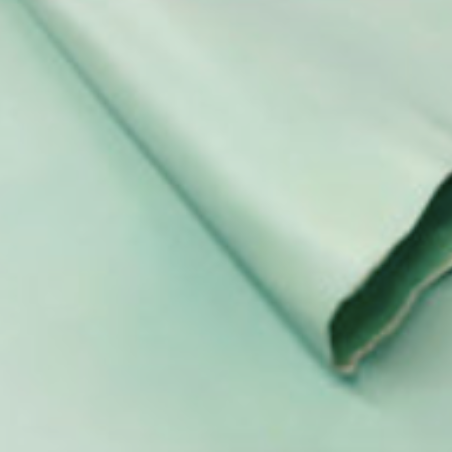 Full Grain Leather Hide in Sage - used for custom dog collars and leads