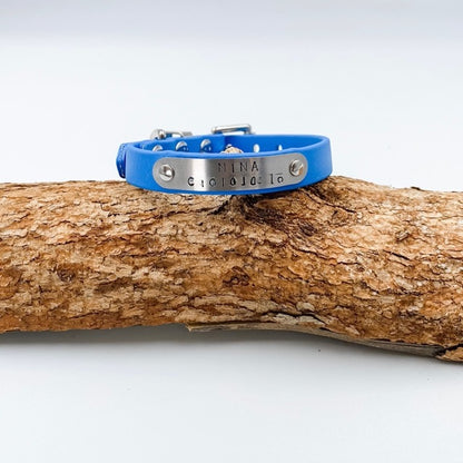 Blue dog collar with silver tag on a wooden branch