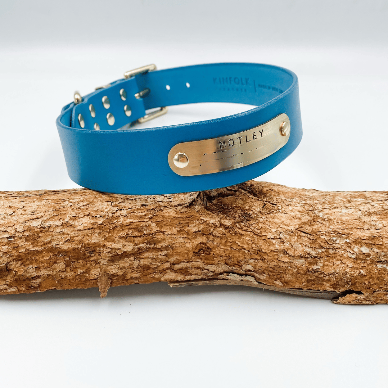 Blue leather dog collar with a gold tag on a wooden branch against a white background