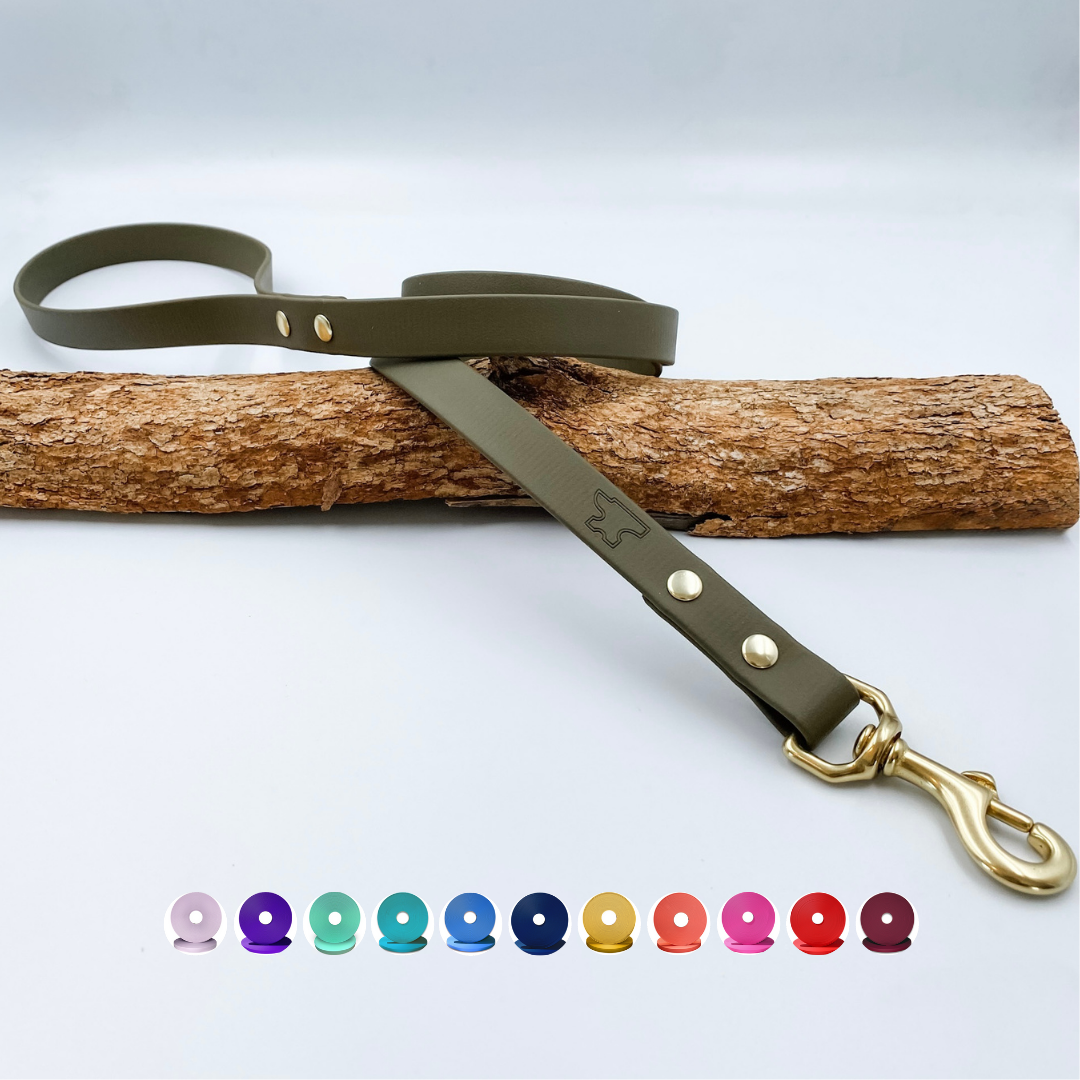 Green waterproof biothane dog leash with brass hardware on a wooden log against a white background