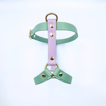 Waterproof BioThane® Dog Harness
