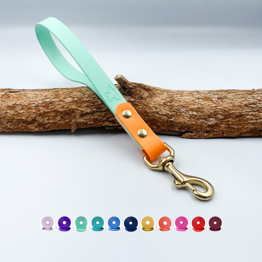 Traffic Handle dog lead in BioThane®, handmade in New Zealand, 35cm short control lead with brass clip