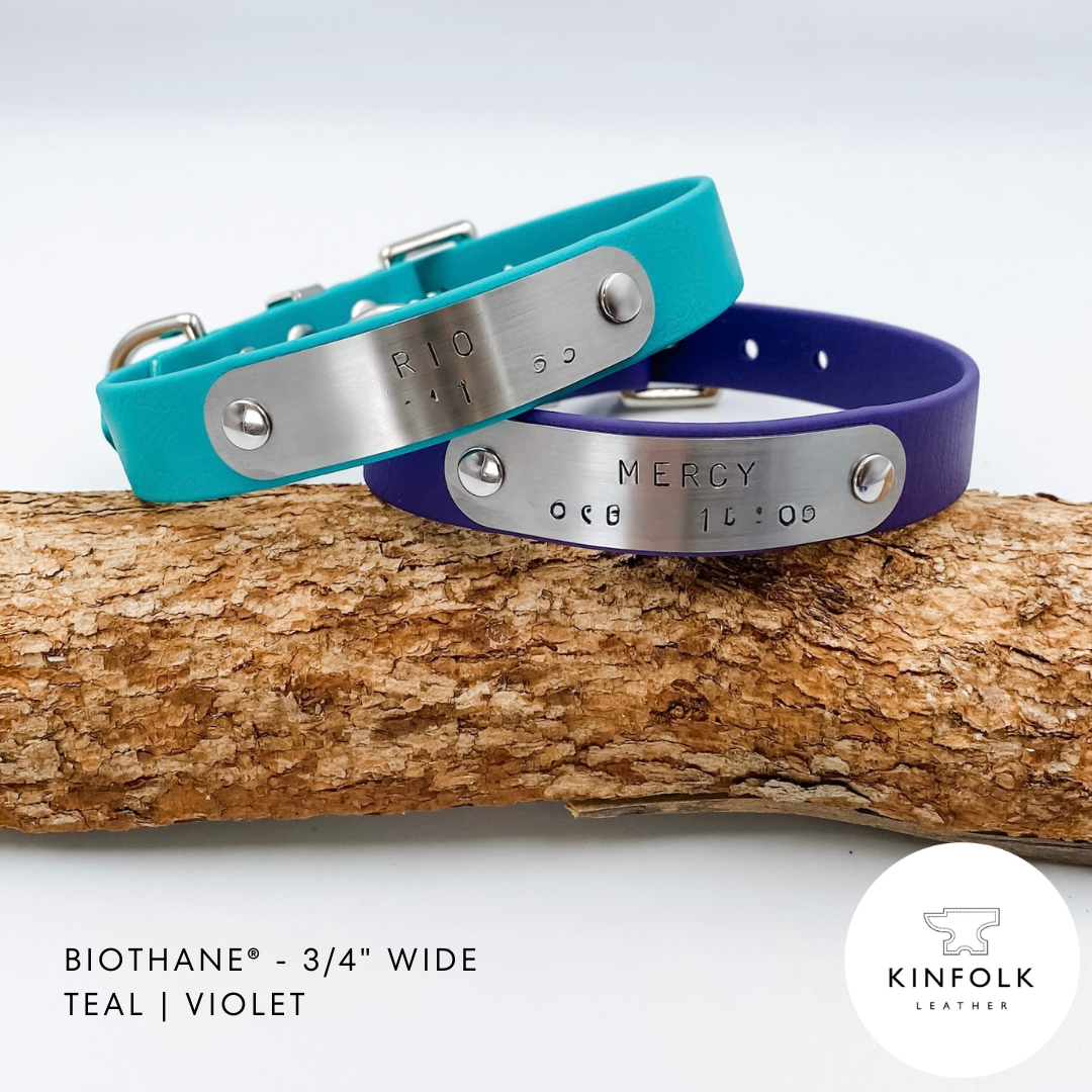 Custom BioThane® Dog Collar with Nameplate – Kinfolk Leather