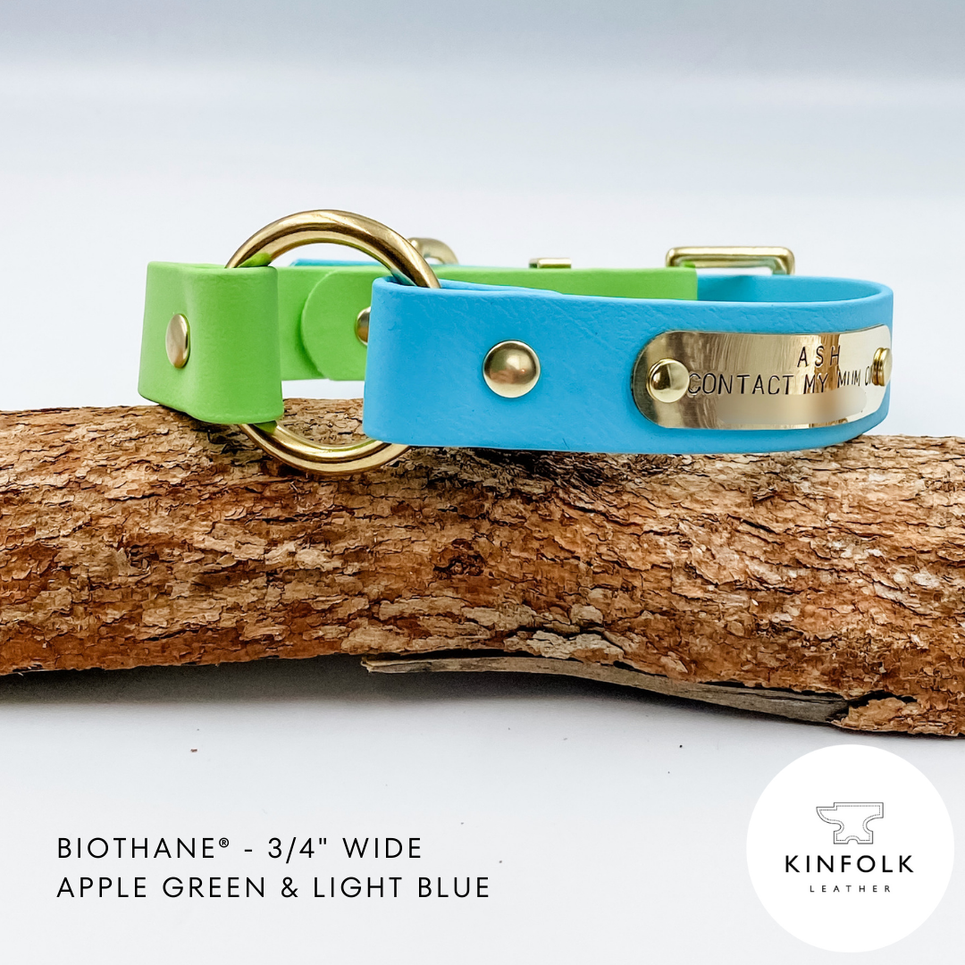 Waterproof BioThane Dog Collar - custom O ring dog collar - made in NZ by Kinfolk Leather. Green and Blue