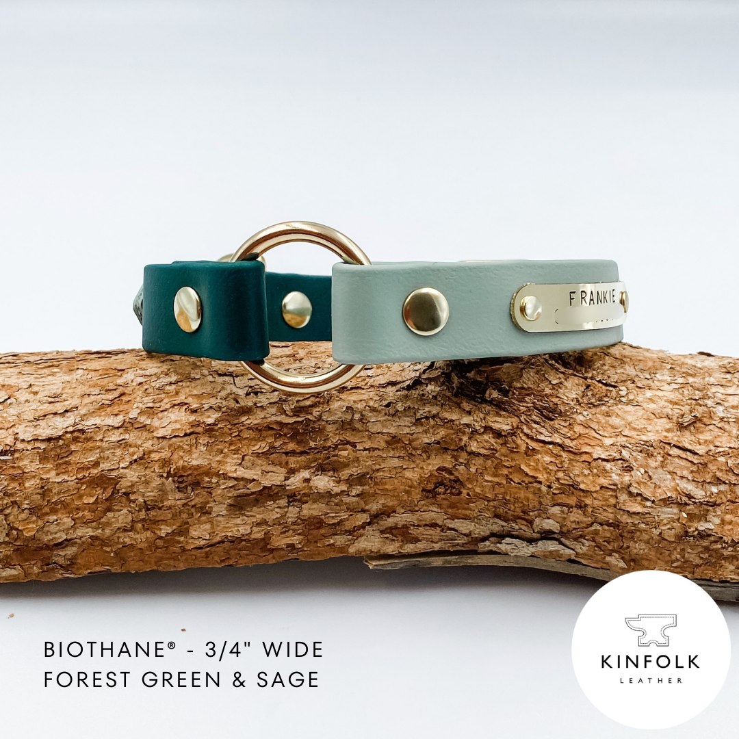 Waterproof BioThane Dog Collar - custom O ring dog collar - made in NZ by Kinfolk Leather. Green
