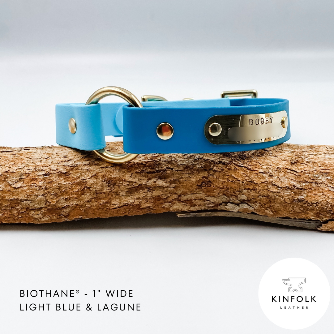 Waterproof BioThane Dog Collar - custom O ring dog collar - made in NZ by Kinfolk Leather. Blue