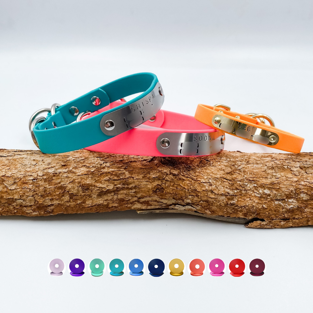 Custom Slip Dog Collars made from Waterproof BioThane with personalised brass nameplate - Custom made in NZ by Kinfolk leather