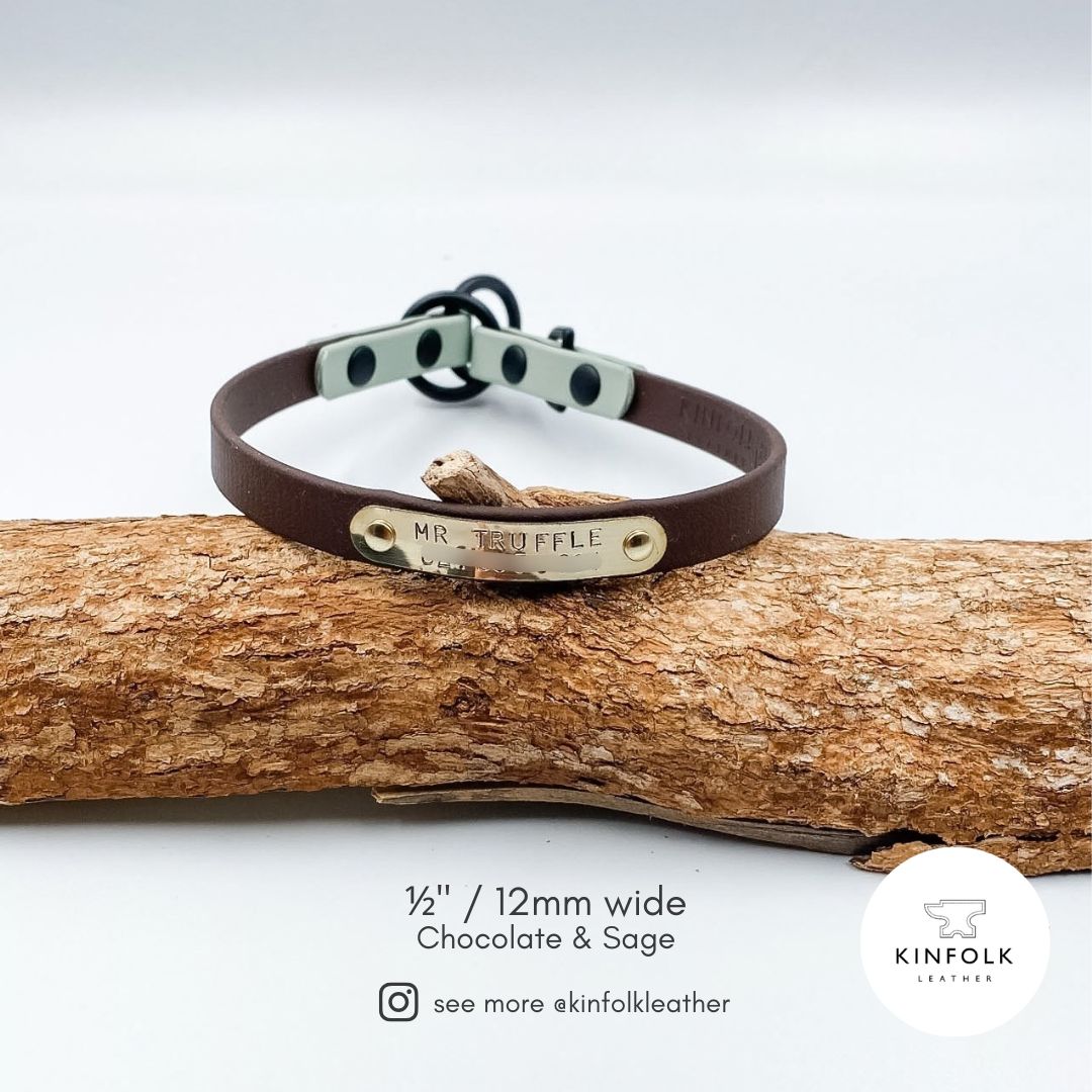 Slip Dog Collar - Waterproof BioThane® Custom Dog Collar