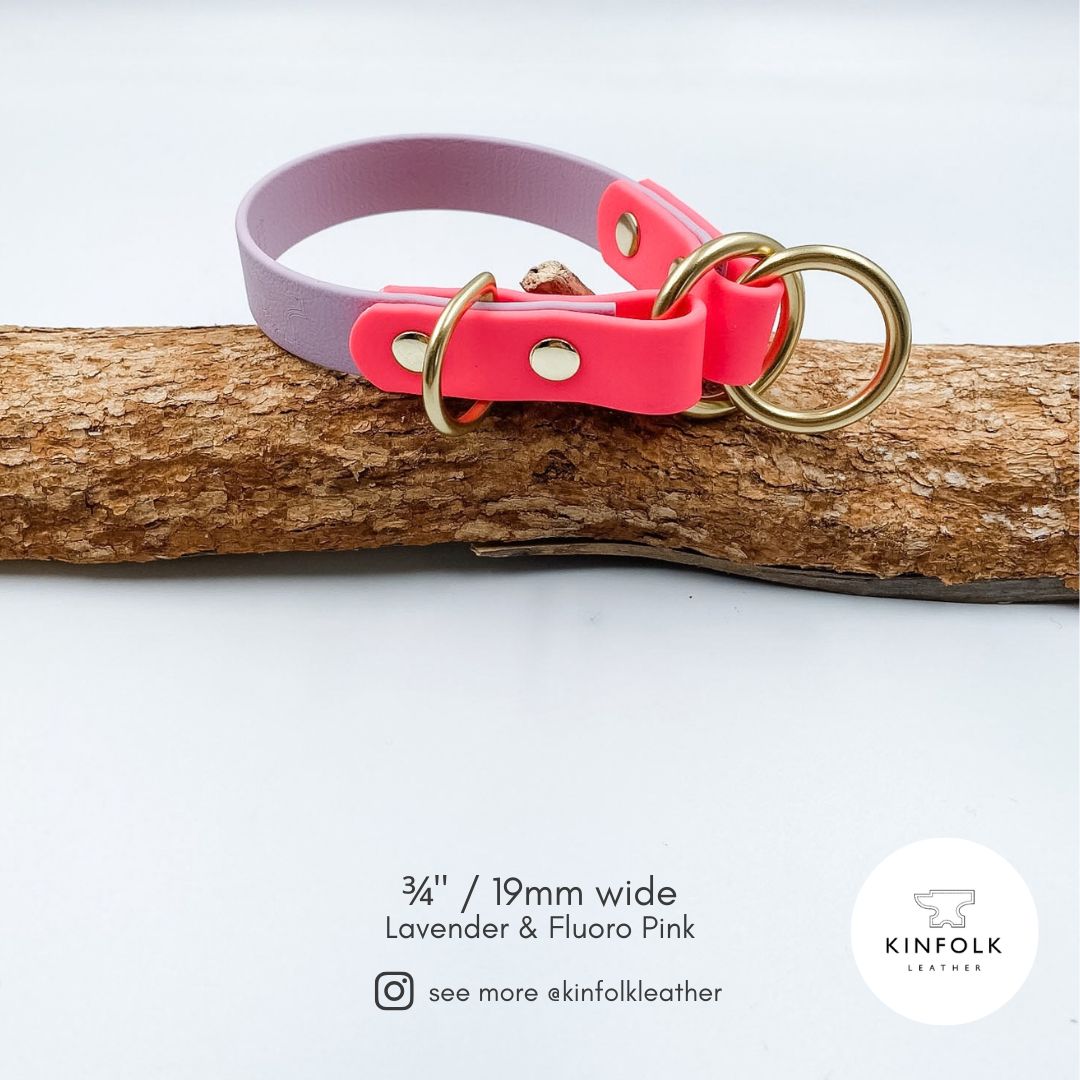 Slip Dog Collar - Waterproof BioThane® Custom Dog Collar