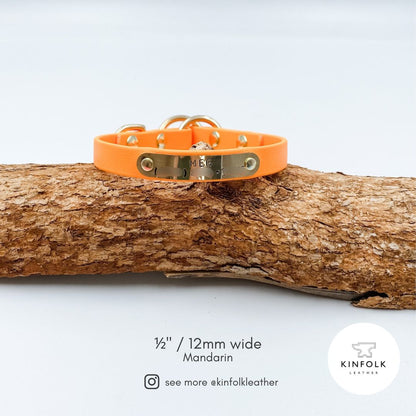 Slip Dog Collar - Waterproof BioThane® Custom Dog Collar