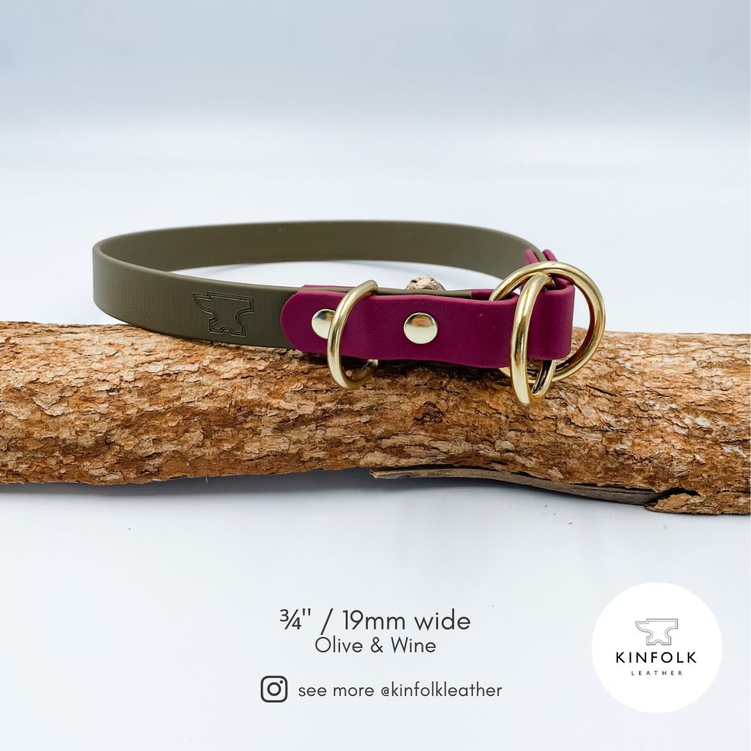 Slip Dog Collar - Waterproof BioThane® Custom Dog Collar