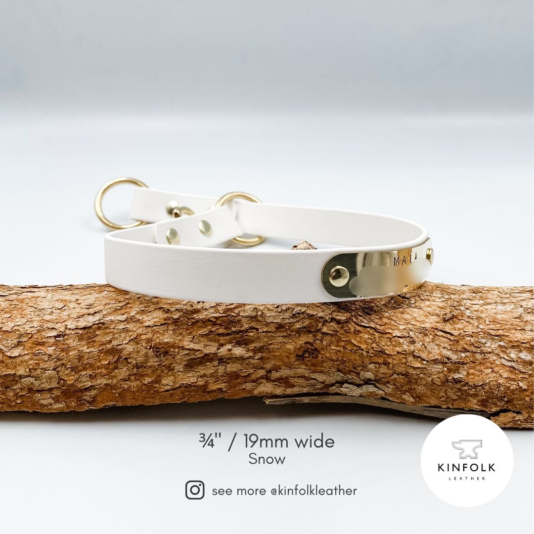 Slip Dog Collar - Waterproof BioThane® Custom Dog Collar