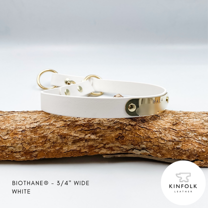 Slip Dog Collar made from Waterproof BioThane with personalised brass nameplate - Custom made in NZ by Kinfolk leather